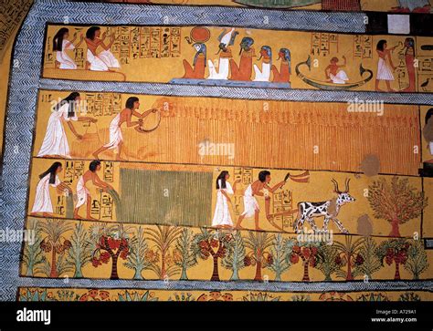 Ancient Egypt Painting Farming Hi Res Stock Photography And Images Alamy