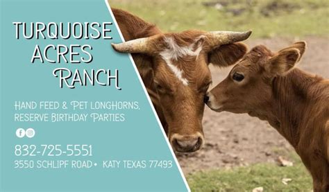 Turquoise Acres Ranch Hipcamp In Katy Texas