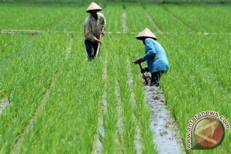 >statistik ekonomi dan keuangan indonesia (seki). China-Argentina jalin kerja sama bidang pertanian - ANTARA ...