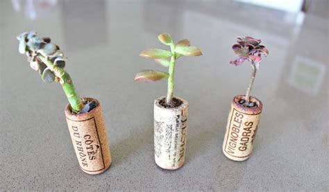 How To Turn Old Wine Corks Into Miniature Planters