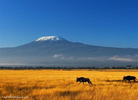 Jamhuri ya muungano wa tanzania), is a country in east africa within the african great lakes region. Tanzania: Trekking Kilimanjaro / Ruta Marangu