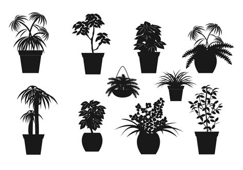 Transfer the cutting to a sunny windowsill. Potted Plant Vector Silhouettes - Download Free Vectors ...