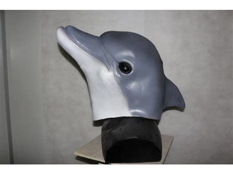 Dolfijnmasker Vis Maskers Mistermask Nl