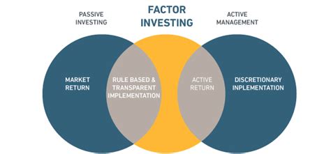 Factor Investing Msci