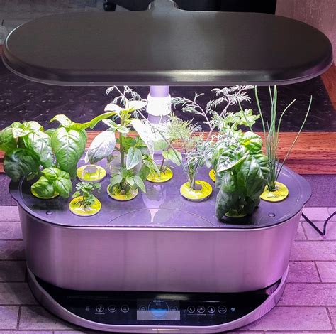 The Best Indoor Gardens Of 2023 Tested By Bob Vila