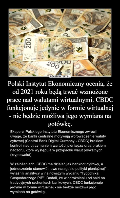Polski Instytut Ekonomiczny Ocenia E Od Roku B D Trwa Wzmo One Prace Nad Walutami