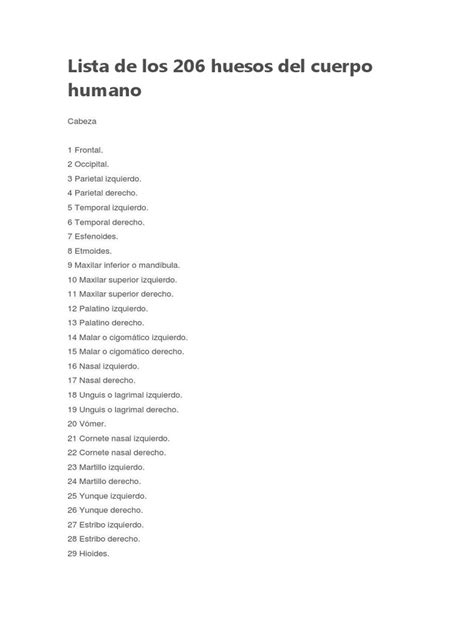 Lista De Los 206 Huesos Del Cuerpo Humano Vértebra Sistema Esquelético