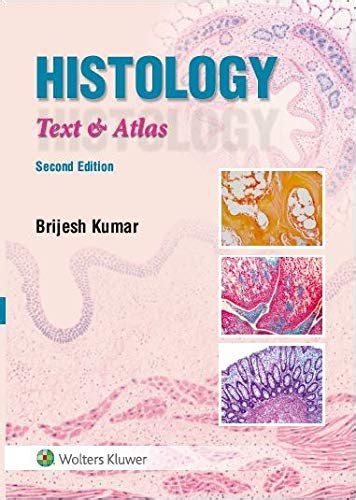 Histology A Text And Atlas 2nd Edition By Brijesh Kumar Wishallbook