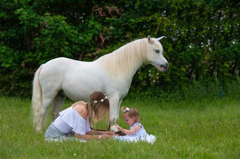 How long has the unicorn myth been around? real life Unicorn Appearances - Pink Pixie Parties