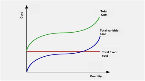 Total Variable Cost Examples Curve Importance
