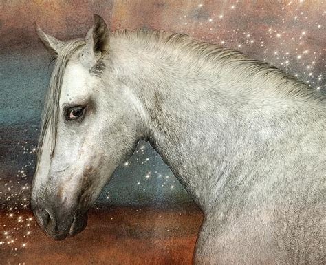 Horse Andalusians Pre Mold White Pferdeportrait Animal Pikist