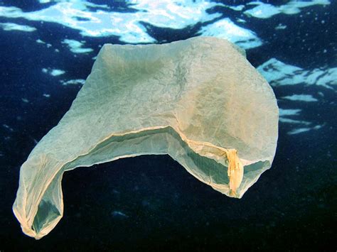 Plastic Bags And Animals Saving Earth Encyclopedia Britannica