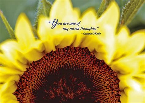 Sunflower Thank You Card The Irish Card Shop Georgia Okeefe Quote