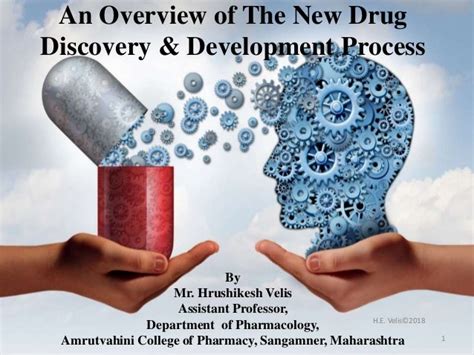 An Overview Of The New Drug Discovery And Development Process