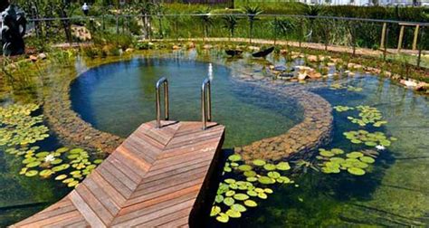 Natural Swimming Pool Ideas How To Tips And Pictures