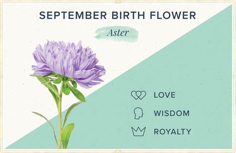 September Flower Of The Month