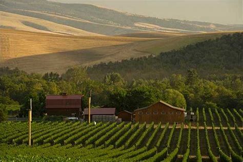 Washington Wineries And Vineyards Wine Tours And Tastings