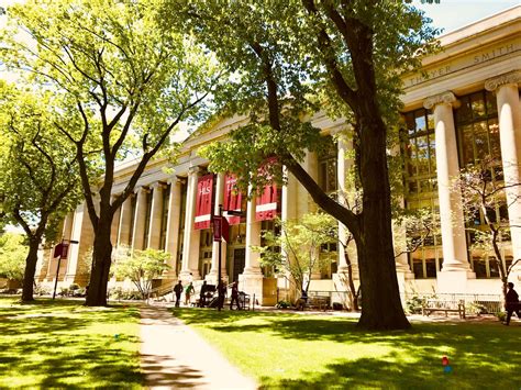 the top 5 ivy league universities in the us unicreds