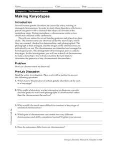 Online student exploration human karyotyping answer. Making Karyotypes Worksheet for 9th - 12th Grade | Lesson ...