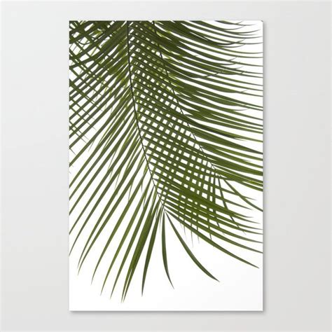 Palm Leaves I Canvas Print By Amini54 Medium Unframed Art Noir