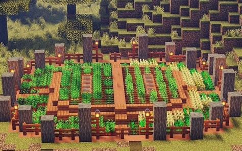 How To Grow Crops Faster In Minecraft