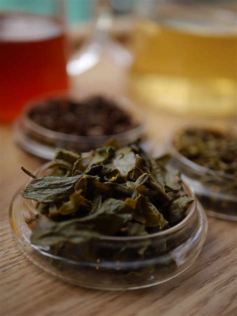 Everything You Need To Know About Oolong Tea — Good And Proper Tea