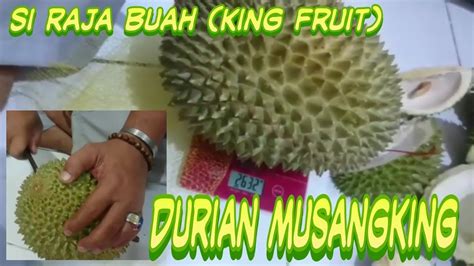 Buah durian musang king memang memiliki. Musang King si Raja Buah Durian - YouTube
