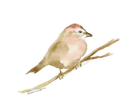 Sparrow Watercolor Watercolor Paintings Abstract Watercolor