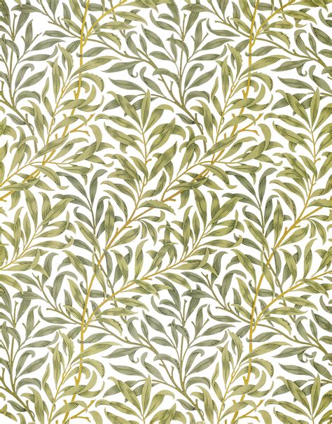 Willow Bough Nature Wallpaper Mural Surface View