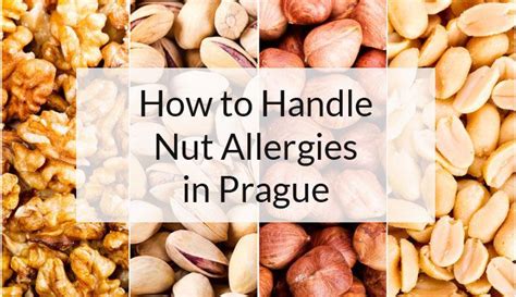 Prague Nut Allergy Advice Nut Allergies Allergies