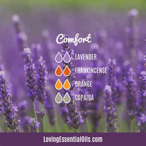 Lavender Diffuser Blends Promote Comfort And Oily Wellness Essential