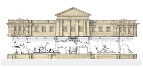 New Funding For The Australian Museum But Is It Sustainable