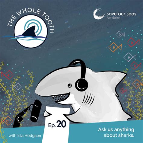 Ask Us Anything About Sharks Save Our Seas Foundation