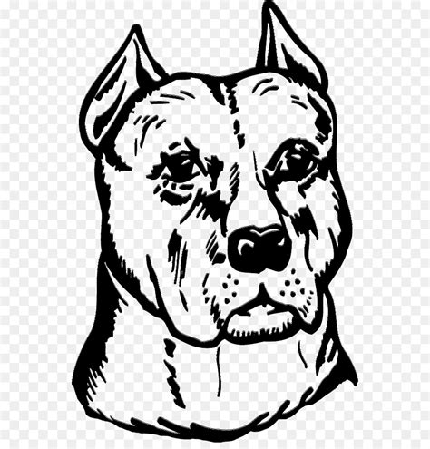 Vector image of an pitbull. Free Pitbull Silhouette Vector, Download Free Clip Art ...