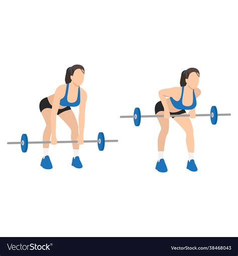 Woman Doing Bent Over Barbell Rows Exercise Vector Image
