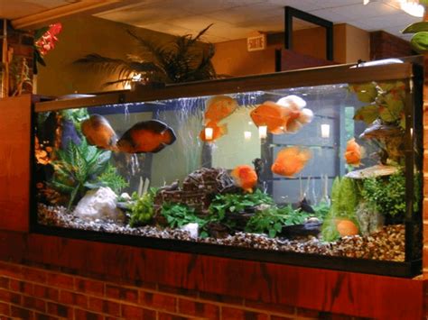 Find a large variety of beautiful fish tanks and aquariums that are perfect for your home. Simple Vastu Tips for Keeping an Aquarium in Your Home ...