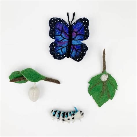 Hand Felted Life Cycle Of A Blue Morpho Butterfly Learning Kit Blue