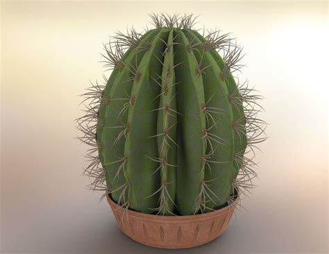 Have fun learning clay modeling cactus plant step by step, follow this video to make easy clay modeling cactus plant. 3D model Round cactus in pot | CGTrader
