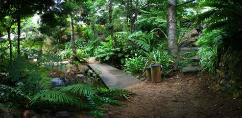 Rainforest Garden Audevonshireteaat