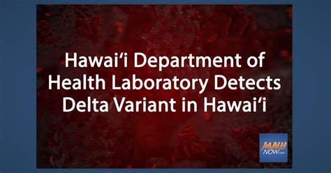 Differential effect of chronic hepatitis d virus infection on intrahepatic hepatitis b viral antigen express. Hawai'i Department of Health Laboratory Detects One Case ...