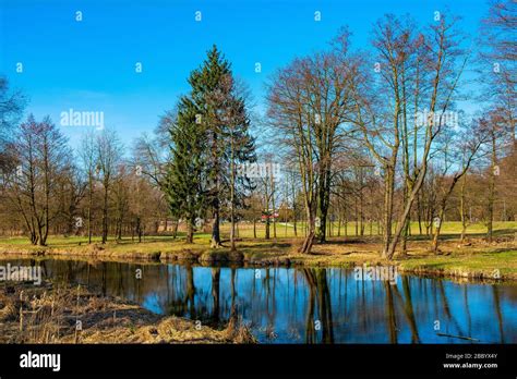 Early Spring Landscape Of Mixed European Forest And Water Ponds In