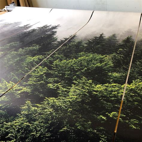 Forest In The Mist Mural Removable Wallpaper Self Adhesive Etsy Uk