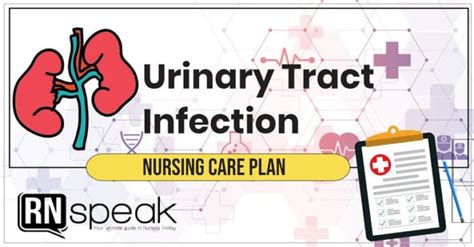Urinary Tract Infection Nursing Care Plan Rnspeak