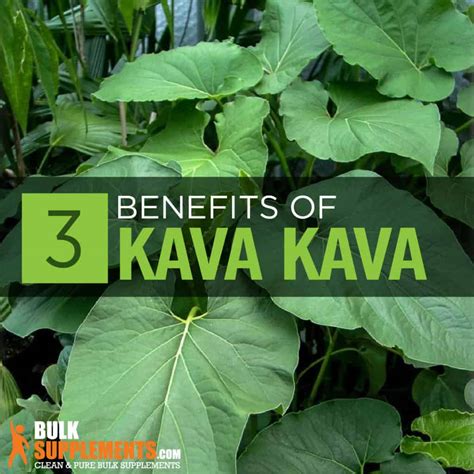 Kava Kava Extract Benefits Side Effects And Dosage