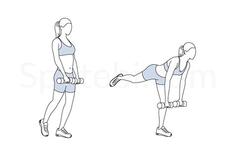 Learn vocabulary, terms and more with flashcards, games and other study tools. Single Leg Deadlift | Illustrated Exercise Guide