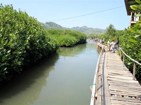 Maybe you would like to learn more about one of these? Jembatan Api Api, Spot Paling Ngehits Di Hutan Mangrove ...