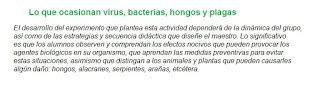 Otros Seres Vivos Los Hongos Y Las Bacterias Bloque Ii Tema Apoyo Primaria