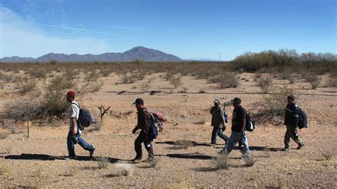 Illegal Immigration Sees First Fall In A Decade Us News Sky News