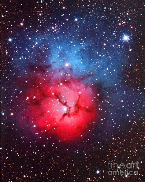 Trifid Nebula Photograph By Tony And Daphne Hallasscience Photo Library