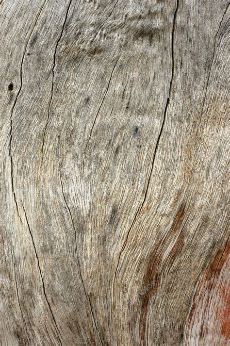 Background Texture Of Driftwood — Stock Photo © Mrdoomits